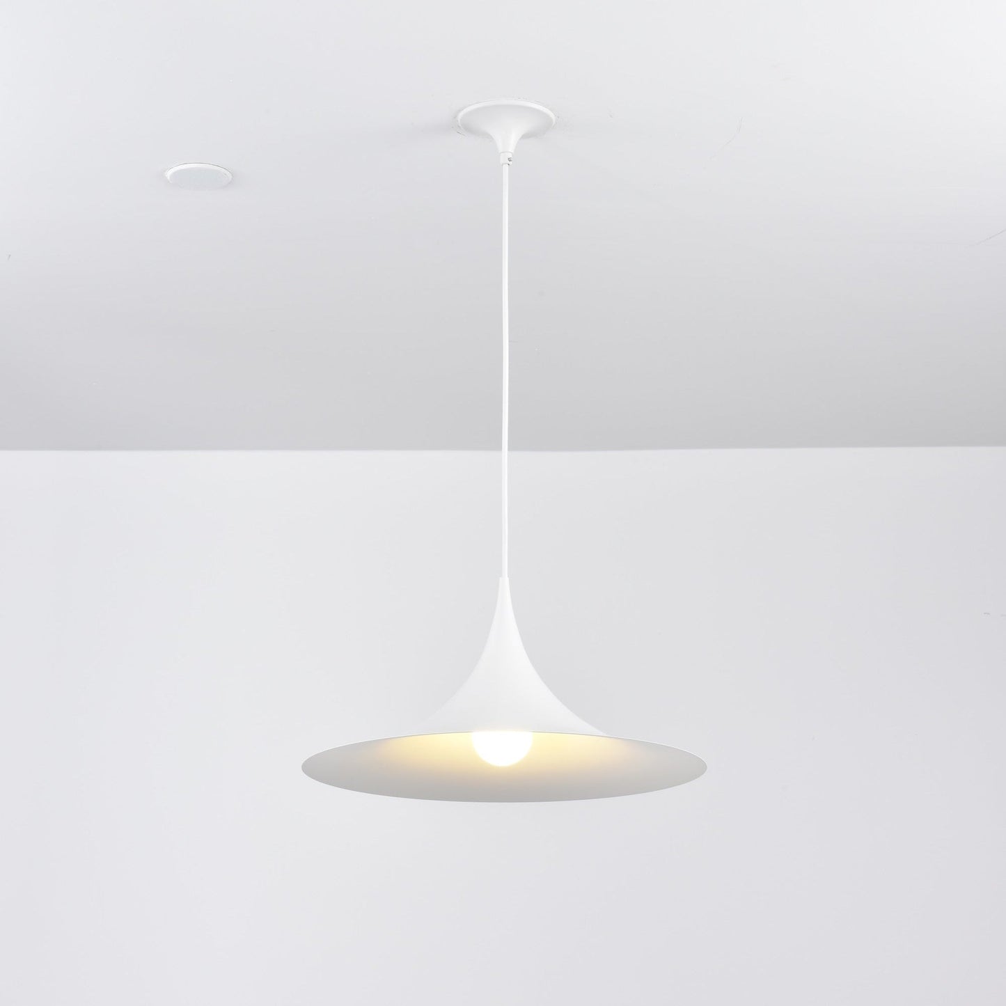 Semi Pendant Light